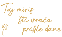 Nostalgija Sticker by Tijana Dapcevic