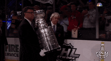 ice hockey sport GIF by NHL