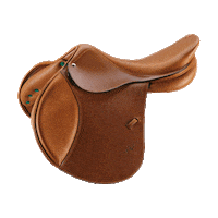 selleriaequipe selleriaequipe equipesaddles ecarbon selleriaequipesaddles Sticker