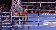toprank fight boxing fighting champion GIF