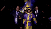 toprank fight boxing fighting champion GIF