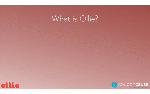 Ollie Faq GIF by Coupon Cause