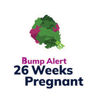 thebumpofficial pregnant pregnancy babybump babysize Sticker
