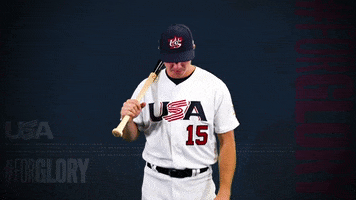 Pro GIF by USA Baseball