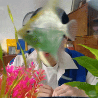 Gmmtv Win GIF