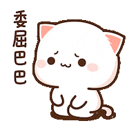 Sorry Cat Sticker
