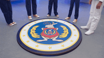 Odd Squad Pbs GIF by Sinking Ship Entertainment
