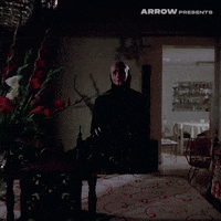 Coffin Joe Film GIF by Arrow Video