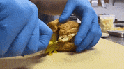 musketroom  GIF