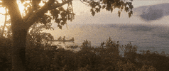 red dead redemption 2 GIF