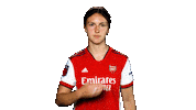 Celebrate Champions League Sticker by Arsenal