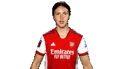 Celebrate Champions League Sticker by Arsenal