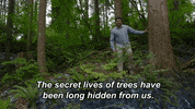 Cosmospossibleworlds GIF by cosmosontv