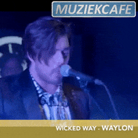 wicked way muziekcafe GIF by NPO Radio 2