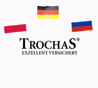 GIF by TrochaS