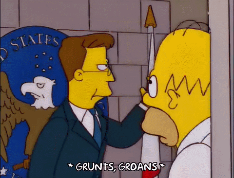 homer simpson episode 23 GIF