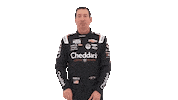 Kyle Busch Sticker by Richard Childress Racing
