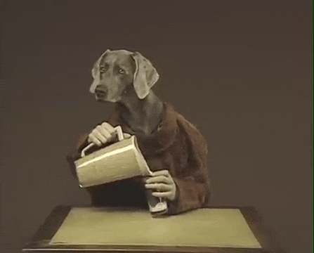 William Wegman Dog GIF by Jason Clarke