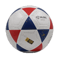 Bola Futevolei Sticker by Dalebol