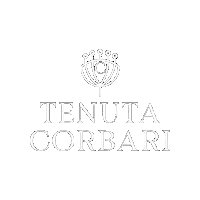 kitostudio wine corbari luganalover tenutacorbari Sticker