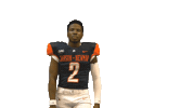 W Sticker by Carson-Newman Athletics