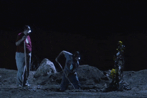 fox GIF by The Last Man On Earth