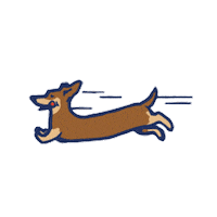 Sausage Dog Dachshund Sticker by Woeber Mustard
