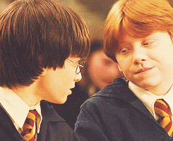 harry potter and the sorcerers stone GIF