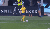 Womens Soccer GIF by National Women's Soccer League