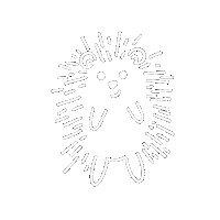 Wild Animals Hedgehog Sticker