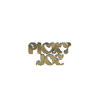 PickyJoe grill rooftop montpellier rooftopdulez Sticker
