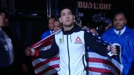 American Flag Mma GIF by UFC