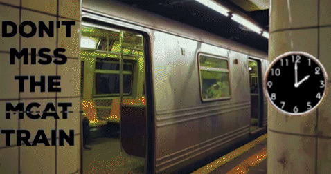 mikemars1012 giphygifmaker giphyattribution college biology GIF