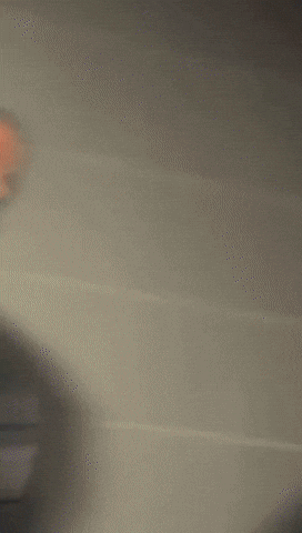 Vividd GIF by thatcloudstudio