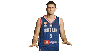 Vanjamarinkovic Sticker by sportmts