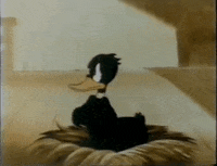 Daffy Duck Vintage GIF