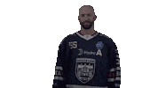 Celly Sticker by Fehervar AV19