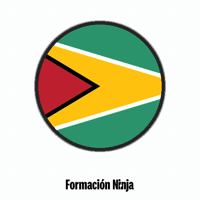 Flag Bandera GIF by Formación Ninja