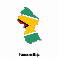 Flag Bandera GIF by Formación Ninja