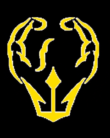 Trident-Fitness-Apparel fitness gold navy apparel GIF