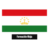 Tajikistan Flag Sticker by Formación Ninja