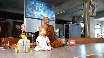 must see GIF