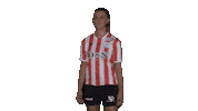 Sparta Vrouwenvoetbal Sticker by Sparta Rotterdam