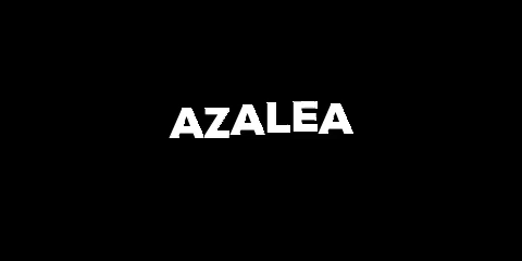 fashion shopping GIF by AZALEA
