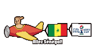 World Cup Senegal Sticker by HotDogs
