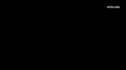Action Bronson Wtf GIF by #ActionAliens