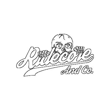 RIDECORECO giphygifmaker Sticker