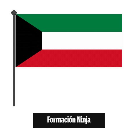 Flag Bandera Sticker by Formación Ninja
