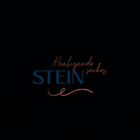 SteinInvestimentos  GIF