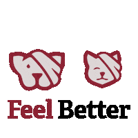 LeadERVET paw veterinary veterinarian follow the leader Sticker